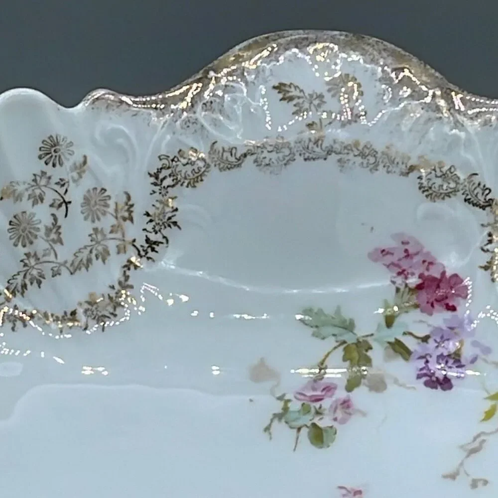 C.T.Carl Tielsch Germany Rare hand painted long serving bowl. Excellent conditio